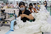 Vietnamese businesses seize on new opportunities amid COVID-19