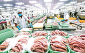 Businesses advised to outline long-term vision for CPTPP benefit