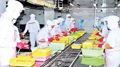 Enterprises seek new direction for agricultural products