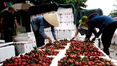 Agriculture needs to adapt for better development