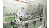 Vietnamese enterprises do business amid Covid-19 pandemic