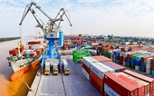 Impact of COVID-19 on EU Anti-Dumping and Anti-Subsidy Investigations