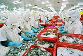 MoIT to help local firms cope with trade remedies
