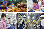 Vietnamese businesses strive to overcome barriers upon joining EVFTA