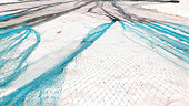 Fisheries subsidies work resumes in Geneva as COVID-19 restrictions ease