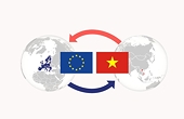 Start with EVFTA but do not neglect trade defence