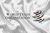 Trade falls steeply in first half of 2020