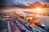 Statistics on safeguard case against imports conducted by Vietnam up to 30 June 2020
