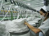 Vietnam - Anti-dumping measures on some polyester filament yarns (AD10)