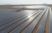 India slaps new safeguard duty on solar imports