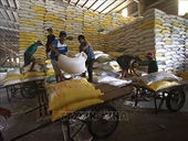 Export turnover sees slight rise in 7 months