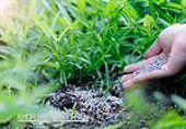 Vietnam - Safeguard measures on Fertilizers(SG06)