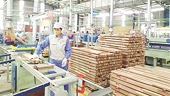 Wood processing to become spearhead economic sector by 2025