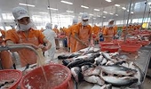 Seafood export orders see sharp increase after EVFTA took effect
