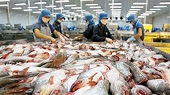 Vietnamese firms allowed to resume seafood export to Saudi Arabia