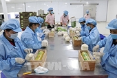 EVFTA brings myriad opportunities for Vietnam exporters: official
