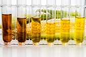 Korea asks Vietnam for fair anti-dumping probe into corn syrup