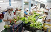 Vietnamese fruit and vegetable exports witness a surge