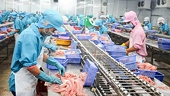 Tra fish export revenue expected to reach US$1.5 billion in 2020