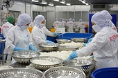 Many products exported to the EU increased