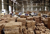 Vietnam - Wood industry regains growth momentum