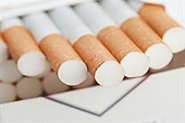 Indonesia - Safeguard measures on tobacco paper