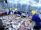 Vietnamese pangasius exporters urged not to panic as China conducts additional inspections