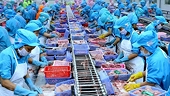 2020 aquatic product exports predicted to hit US$8.6 billion