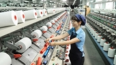 Vietnam’s export revenue expected to reach US$267 billion in 2020