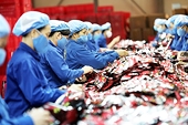Việt Nam eyes high-quality coffee exports