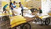  Rice export turnover up 10% in 2020