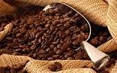 Coffee sector to boost exports on EVFTA incentives