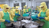 Shrimp exports set target of US$ 4.4 billion in 2021