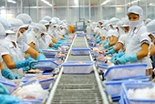 Nearly 700 Vietnamese firms eligible for aquatic export to Taiwan