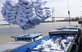 Rice exports to see bright outlook this year