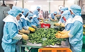 Redirecting markets for agricultural exports