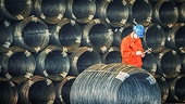 Vietnam imposes anti-dumping duties on steel products imported from Malaysia