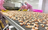 Shrimp exports to European market climb robustly