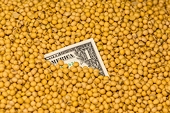 Organic soybean meal from India faces anti-dumping claims in US