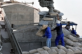 Philippines: Probe On Anti-Dumping Claims Vs Vietnam Cement Launched
