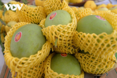 Viet Nam wants to quadruple mango exports by 2030