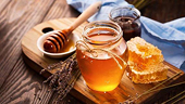 Raw honey – The U.S investigates anti-dumping measures