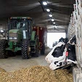 U.S. Initiates Trade Dispute Against Canadian Dairy Industry