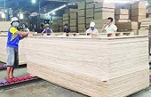 US anti-dumping process on self-propelled aerial work platforms from China continues