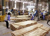 Made-in-Vietnam wooden products conquer US market