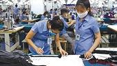 Textile and garment industry take advantage of opportunities as blockades lifted