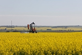 Canada escalates complaint over China’s block on its canola seed exports, requests WTO panel