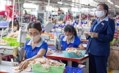 Domestic enterprises prevent trade remedies amid Covid-19 pandemic