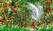 Foreign market favors Vietnamese agricultural products