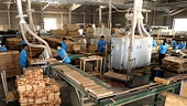 Forestry product exports expected to reach US$15.5 billion in 2021